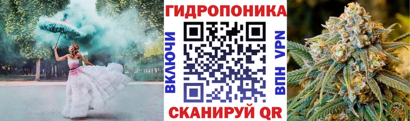 Конопля White Widow  МЕГА зеркало  Новотроицк  сколько стоит 